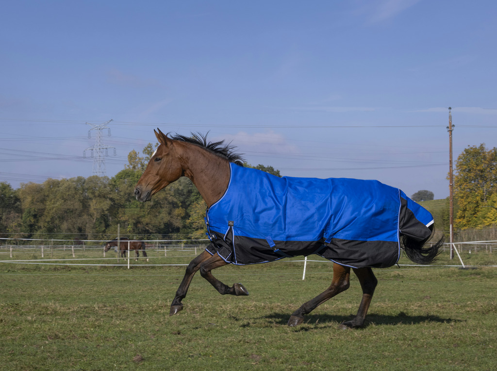 Couverture EQUITHÈME TYREX 1200D, 0g, "Aisance" High Neck (4'9/105cm)