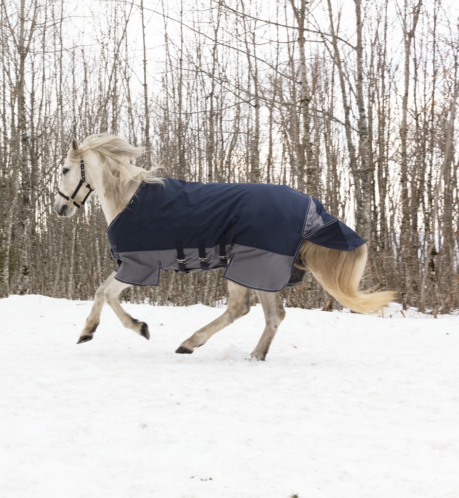 Couverture EQUITHÈME "TYREX 600 D", 300g, Belly belt