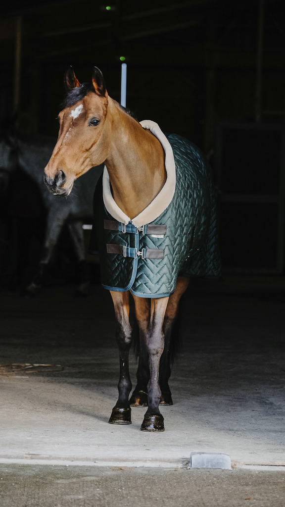 Couverture velours EQUITHEME "Teddy" (Noir, 5'9/125cm)