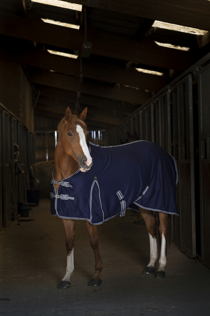 Chemise EQUITHÈME "Sweat"