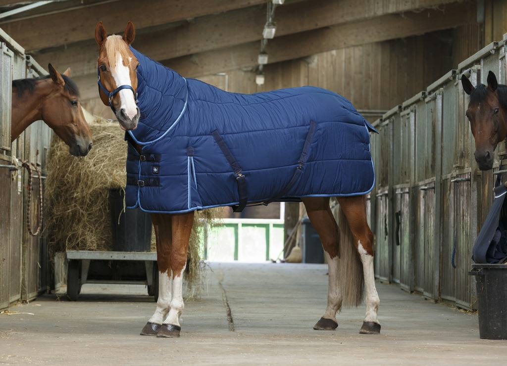Couverture d'écurie RIDING WORLD "Combo" (5'6/120cm)