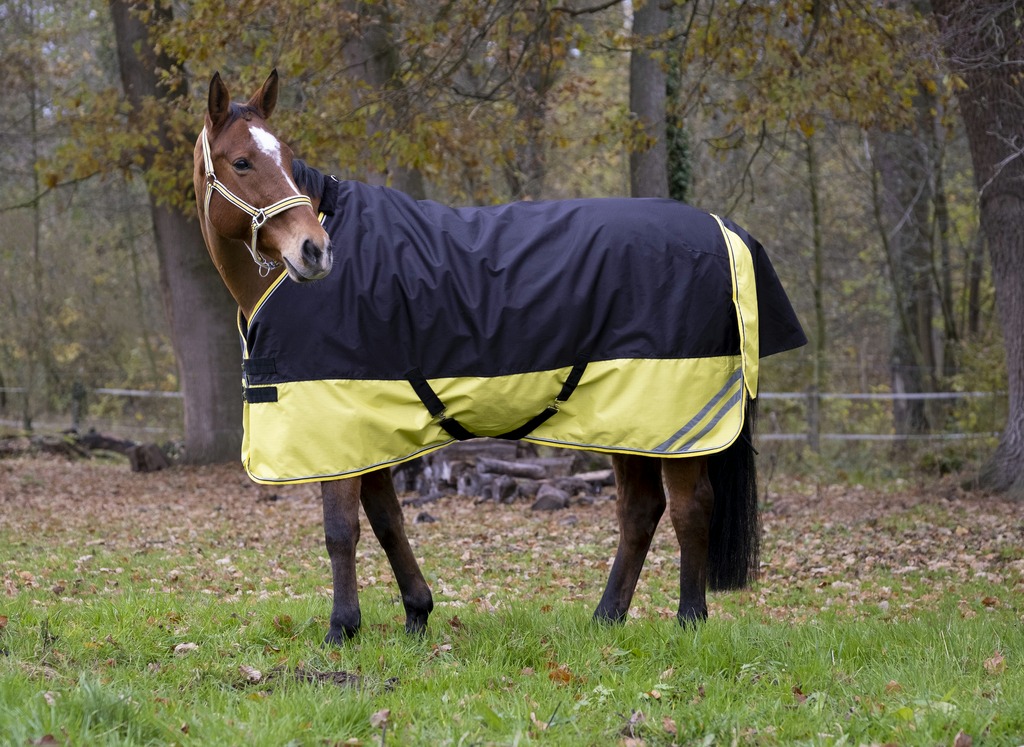 Couverture EQUITHÈME TYREX 600 D, 300g (4'3/95cm)