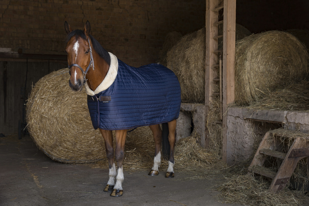 Couverture d'écurie EQUITHÈME "Teddy", doublée mouton synthétique (Marine/Ecru, 5'9/125cm)