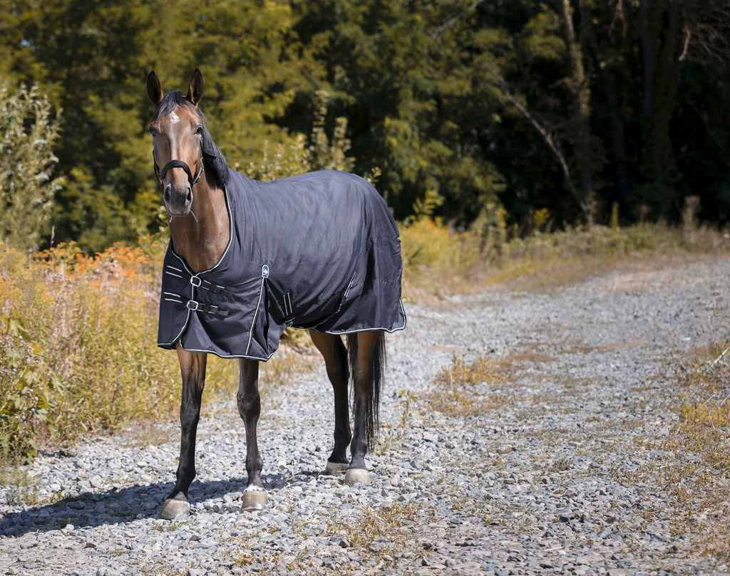 Couverture RIDING WORLD "Oxford" imperméable, 0g (5'3/115cm)
