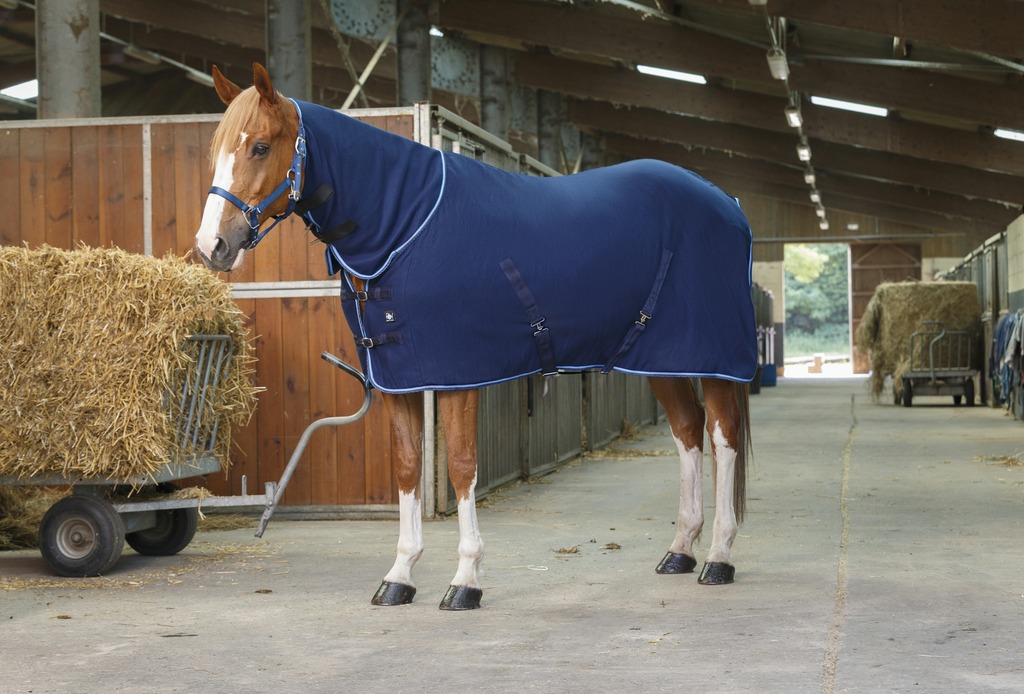 Chemise polaire RIDING WORLD "Combo" (5'3/115cm)