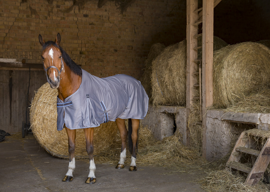 Chemise EQUITHÈME "Cool Dry" (5'9/125cm)