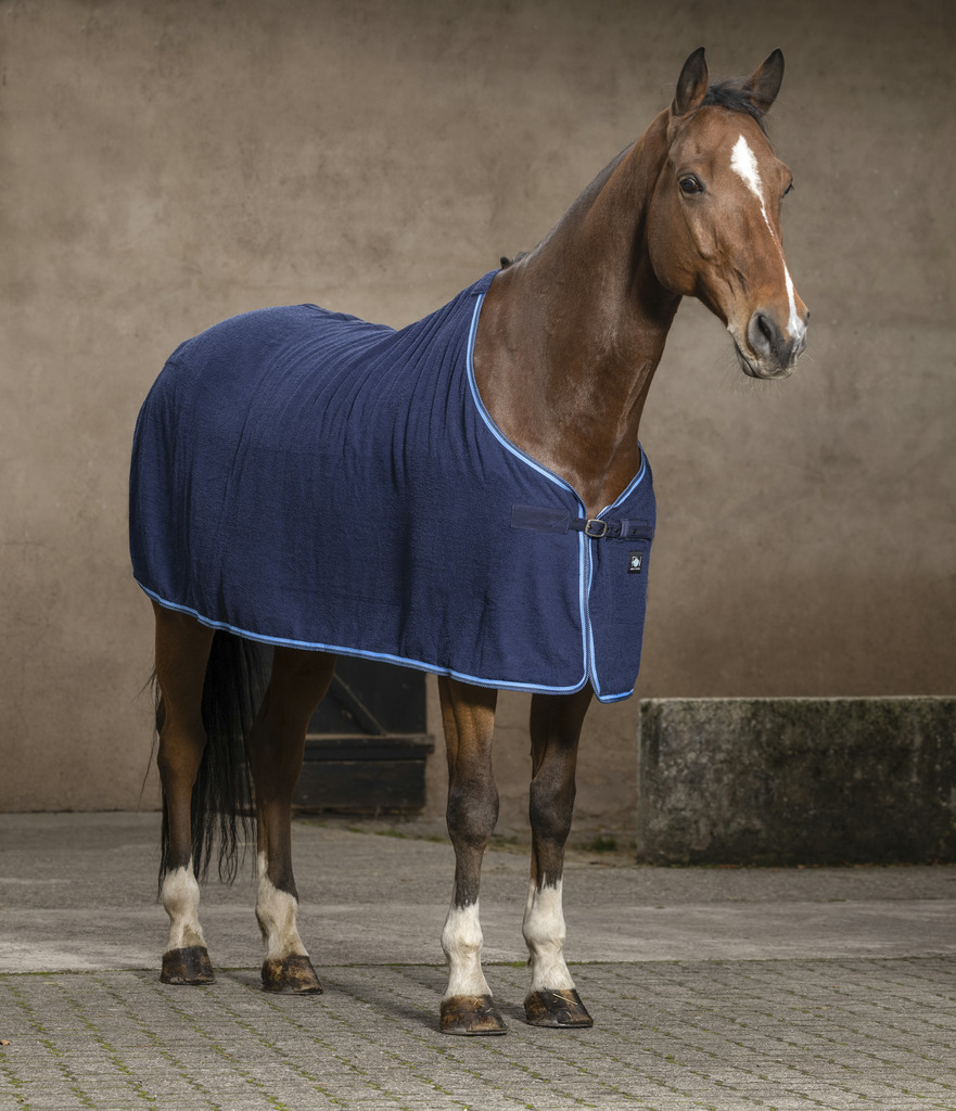 Chemise RIDING WORLD "Éponge"