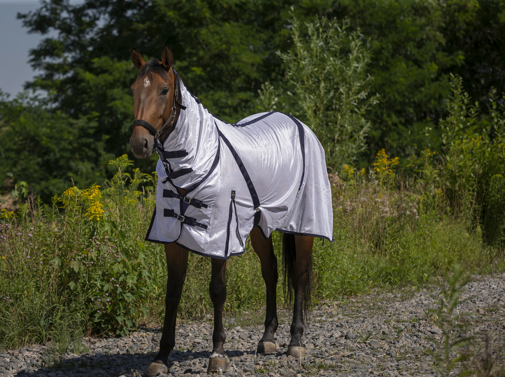 Chemise filet EQUITHÈME Combo