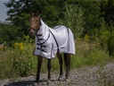 Chemise filet EQUITHÈME Combo