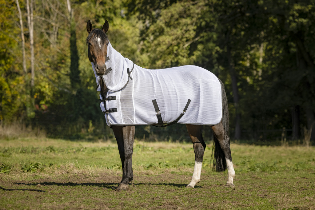 Chemise EQUITHÈME "3D Mesh"