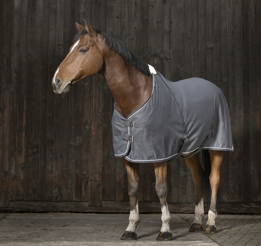 Chemise EQUITHÈME "Chic" (5'9/125cm)