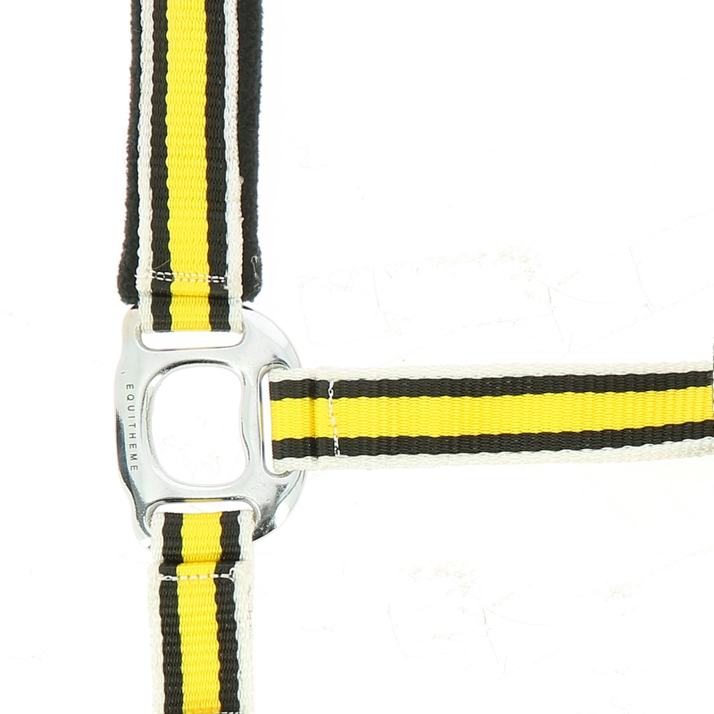 Licol EQUITHÈME "Ligne" (Marine/Gris/Blanc, Pur-sang)