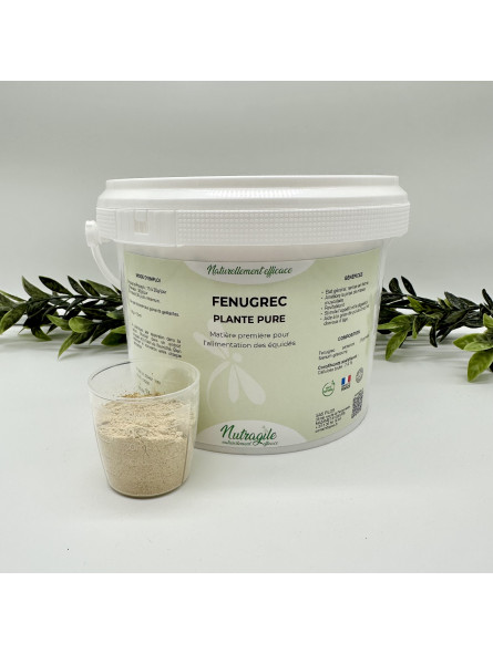 FENUGREC plante pure Nutragile