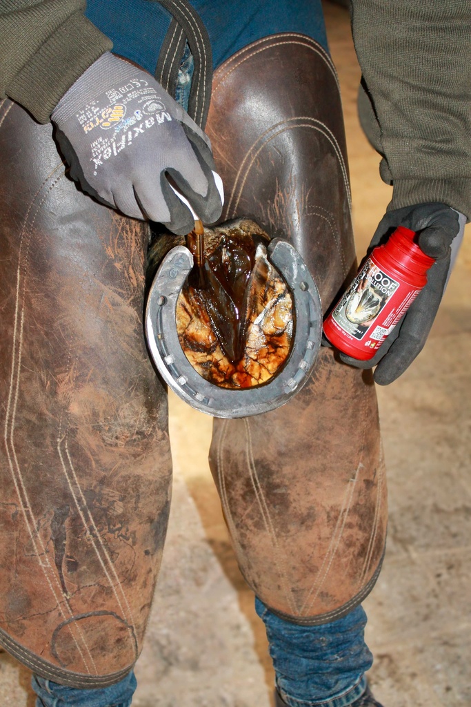 [727007015] KEVIN BACON'S Huile pour sabots - Hoof Solution