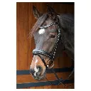 Bridon petit crystal Cob Noir