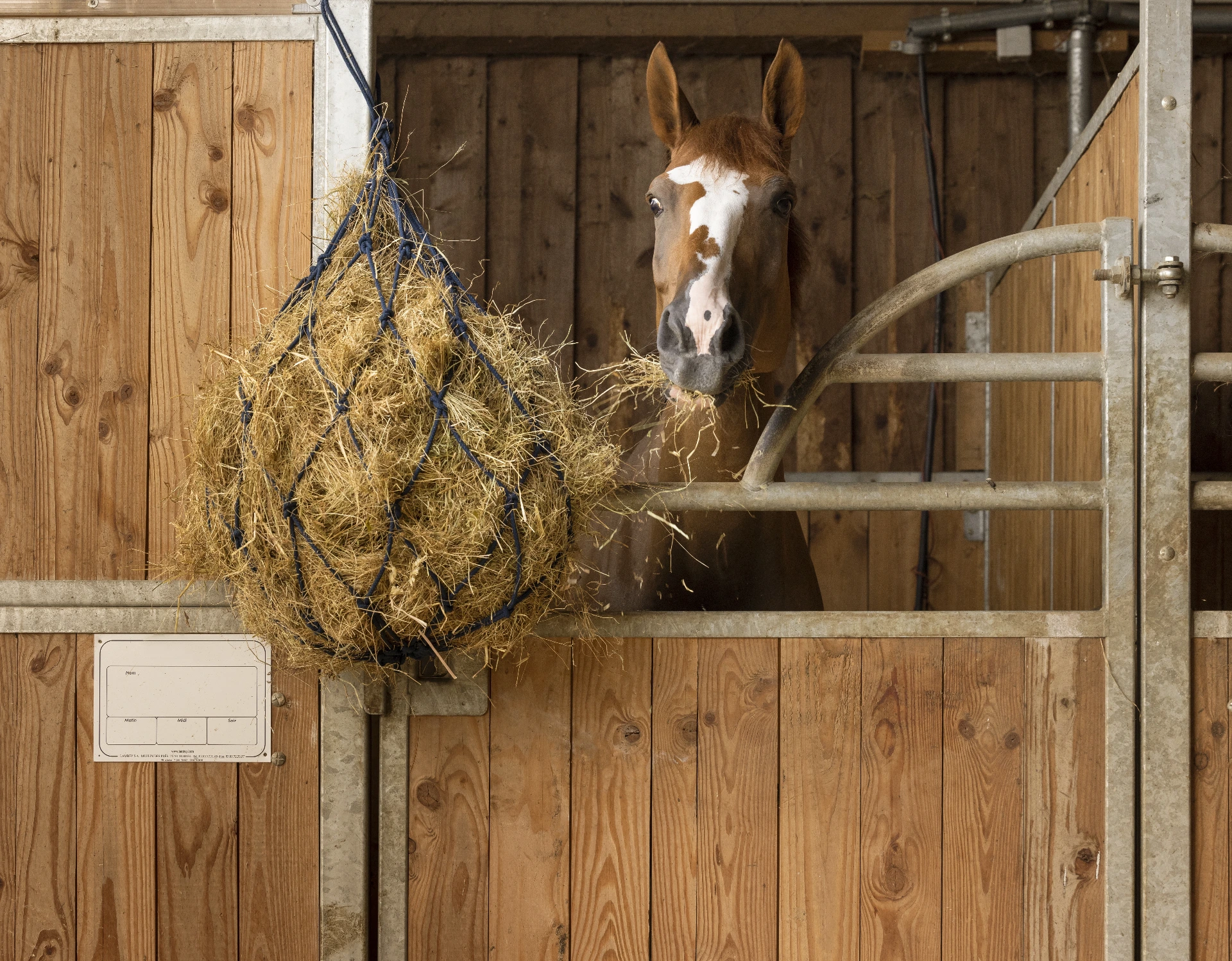 [306759006] Filet à foin coton HIPPOTONIC avec anneaux