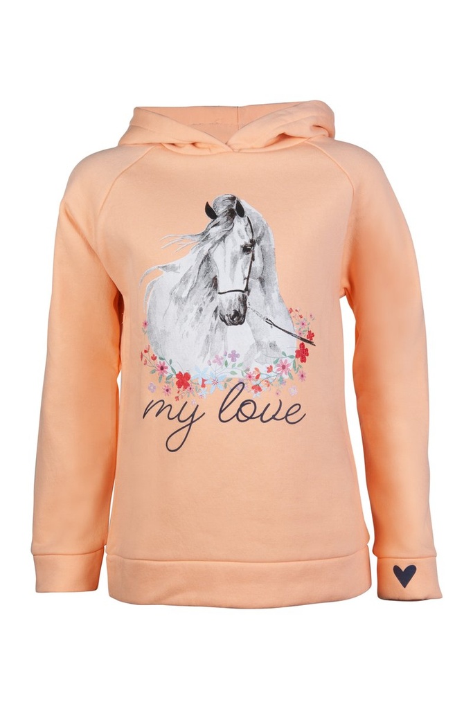 [HKM-13275] Hoody -Horse Spirit-