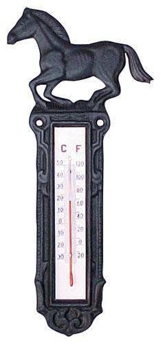 [63650000] Thermomètre en fer forgé