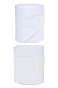 Bandes polaires -Innovation-