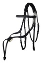 Bridle -Carlos-