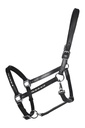 Licol en cuir -Sparkle-