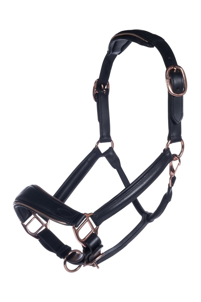 Licol en cuir -Rosegold-
