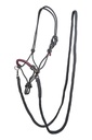 Rope halter -Deko- with reins