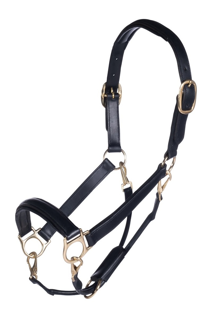 Leather head collar -Gold- (Poney)