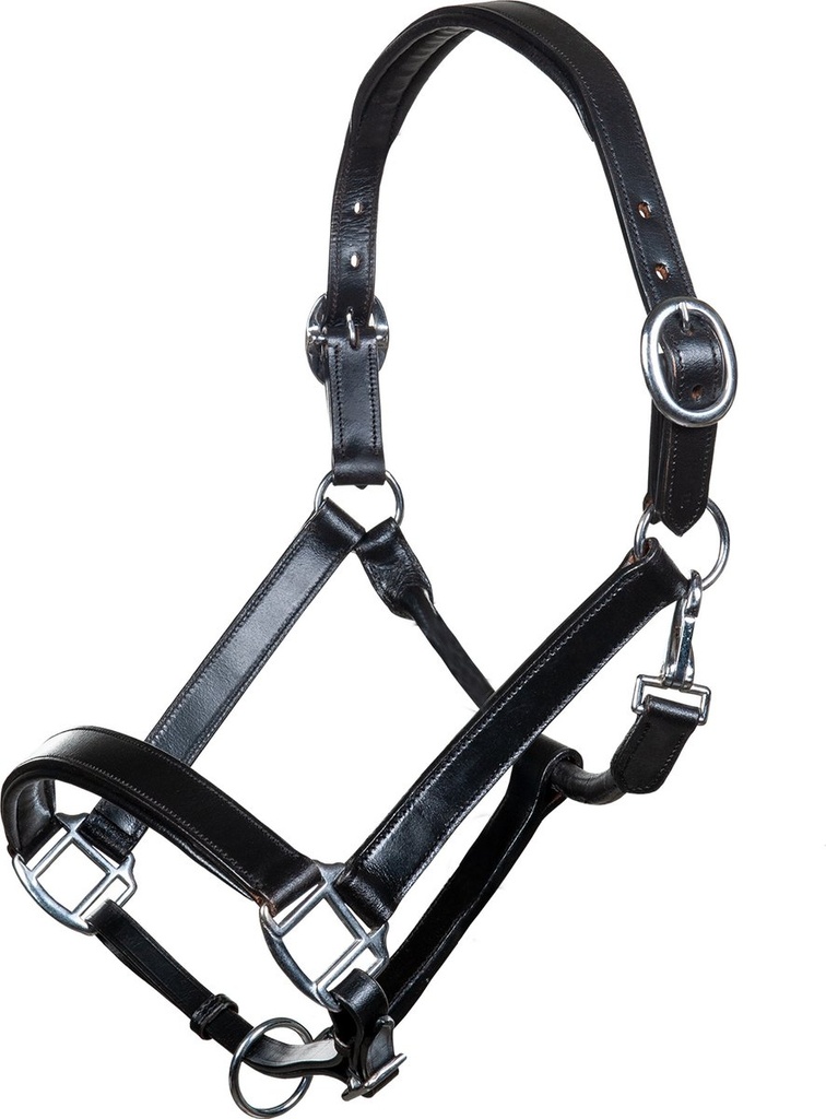 Licol en cuir -Economic-