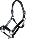 Licol en cuir -Economic-
