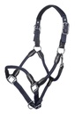 Licol -Carlotta-