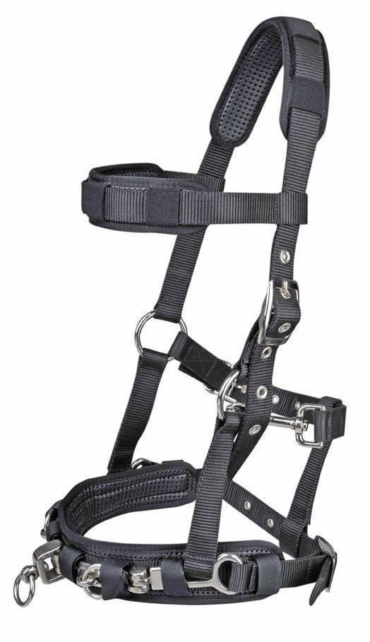 Lunge cavesson (Poney)