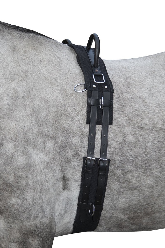 Lunge roller -Canvas- with handle (Poney, Black)