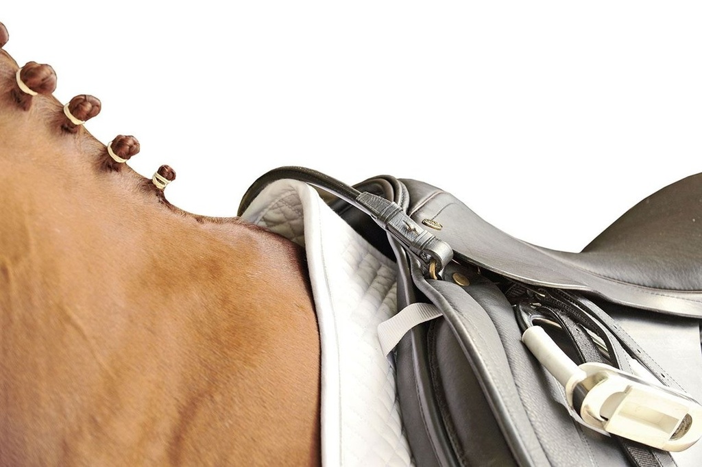 Courroie de maintien pour la selle