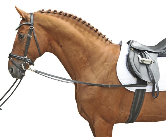 [18739100.0621] Rênes fixes (Poney)