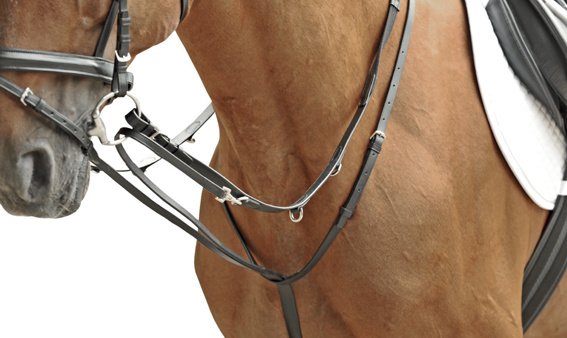 [18069100.0621] Enrênement Thiedemann (Poney)