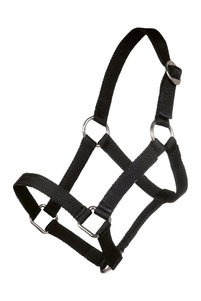 Head collar for Mini-shetty (Black)