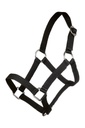Head collar for Mini-shetty