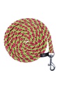 Longe -Hobby Horsing-