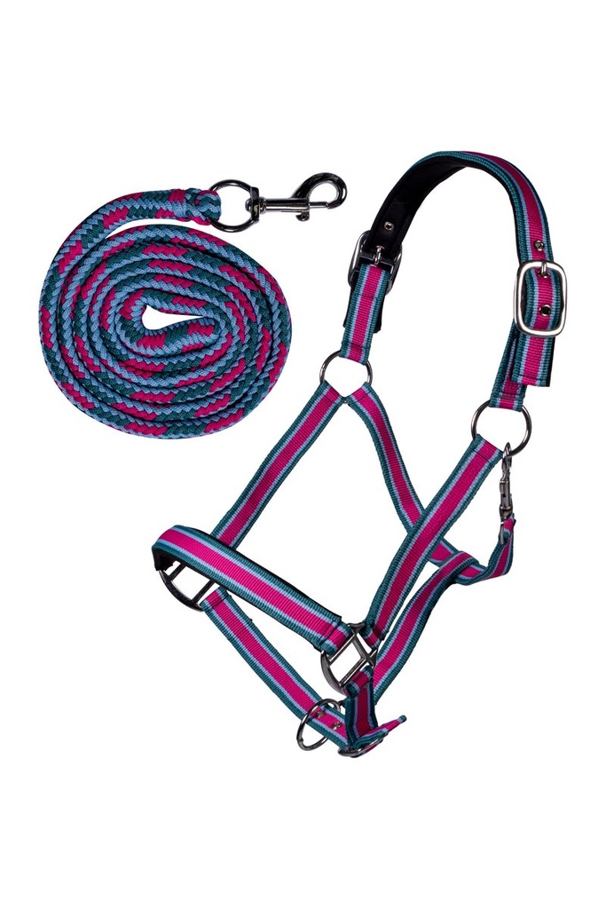 Head collar set with snap hook -Manchester- (Poney)