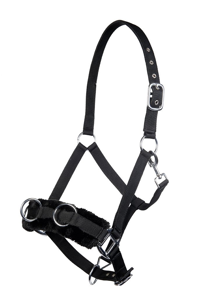 Lunge cavesson with plush padding