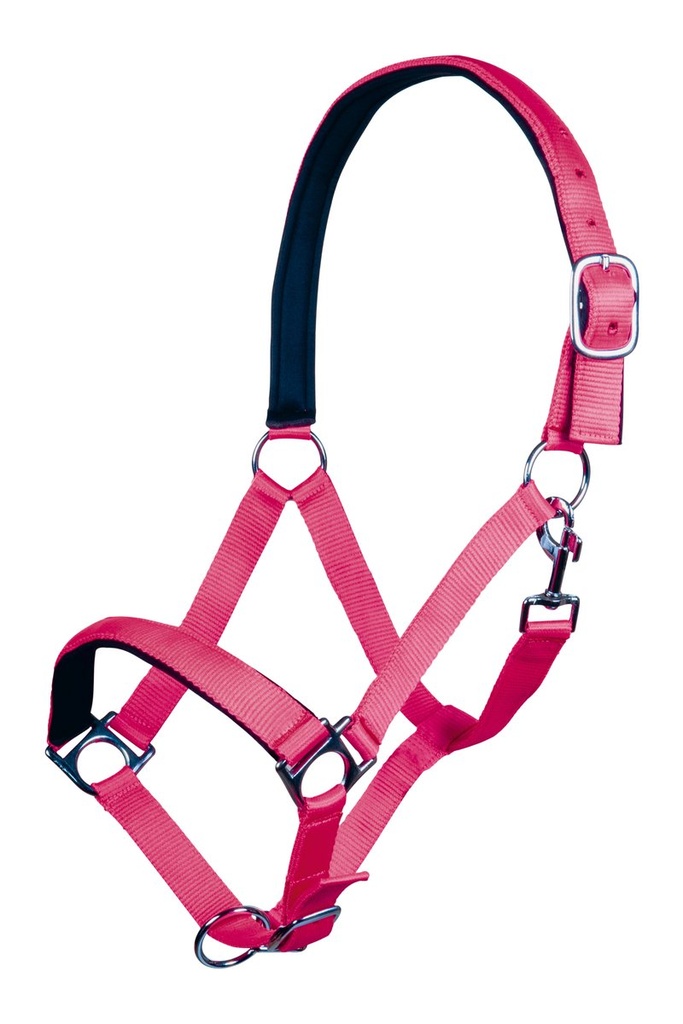 Head collar -Stars Softice- with soft padding (Poney, Pink)