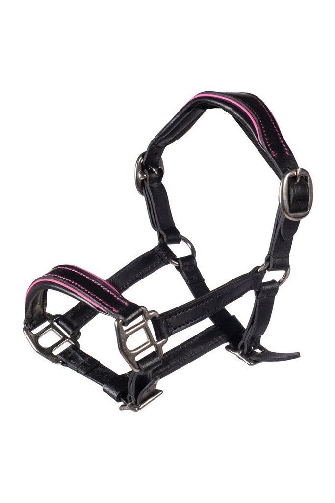 Leather head collar Manchester -Hobby Horsing-