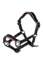 Licol en cuir Manchester -Hobby Horsing-