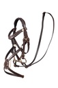 Bridon mexicain -Hobby Horsing-