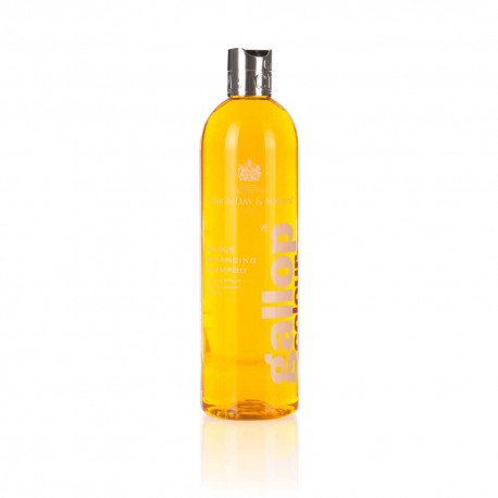 Shampoing Gallop® CARR & DAY & MARTIN Noisette et palomino