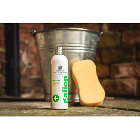 [726003050] Shampoing antibactérien Gallop® CARR & DAY & MARTIN