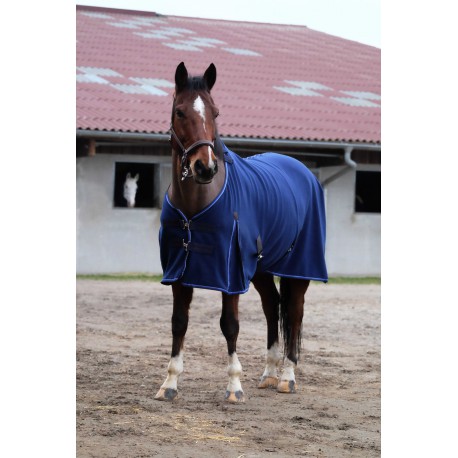 Chemise polaire EQUITHÈME - Classic