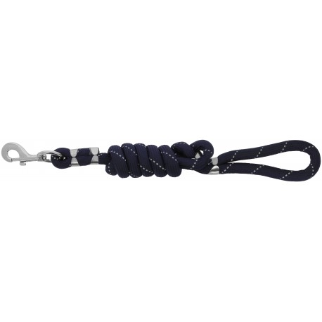 Laisse pour chien EQUITHÈME - Rio