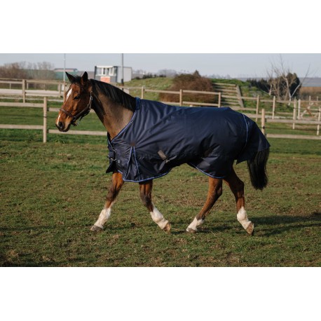Chemise EQUITHÈME - Classic 600D